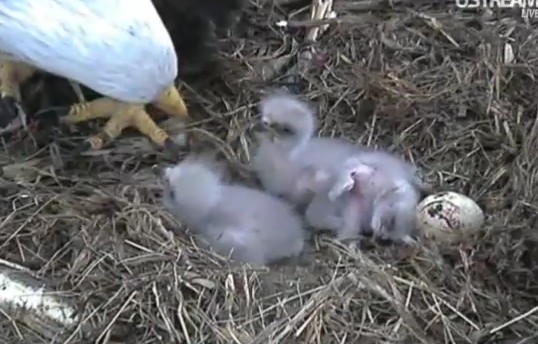 ScreenHunter_14 Mar. 31 11.26.jpg